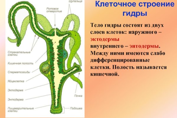 Кракен даркнет сайт на русском