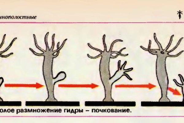 Наркоплощадки кракен